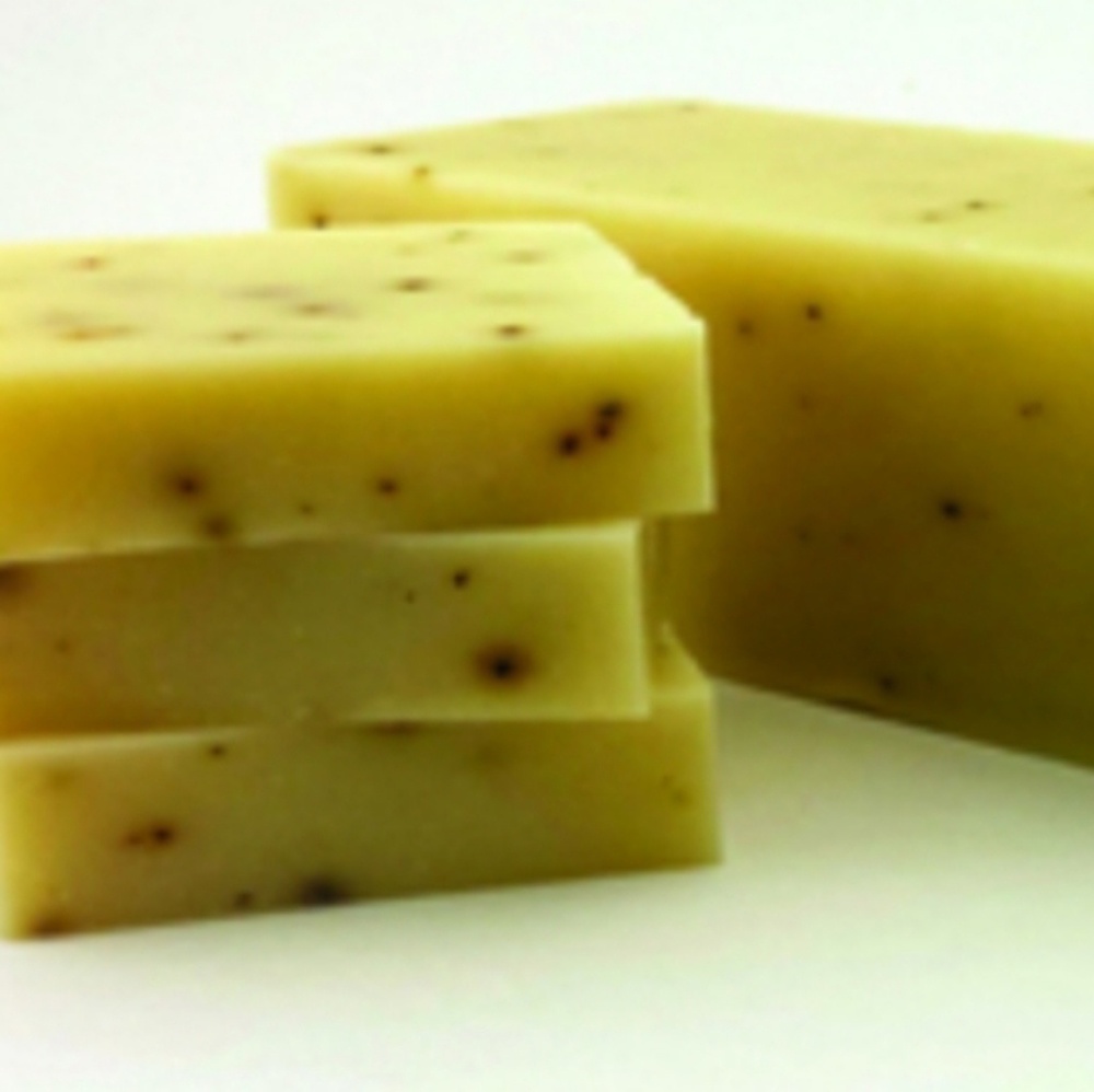 Eucalyptus Aloe Cold Process Soap Bars
